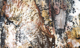 Idaho Dendritic Agate 82