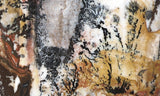 Idaho Dendritic Agate 82