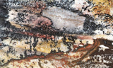 Idaho Dendritic Agate 82