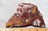 Fantasy Jasper Rock Slab 184
