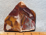 Bargain Bin E Slab 198