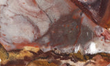 Bargain Bin F Slab 218