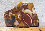 Fantasy Jasper Rock Slab 176