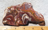 Fantasy Jasper Rock Slab 191