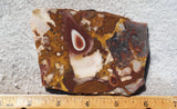 Fantasy Jasper Rock Slab 179