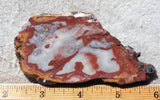 Fantasy Jasper Rock Slab 196