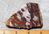 Fantasy Jasper Rock Slab 198