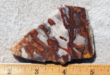 Fantasy Jasper Rock Slab 198