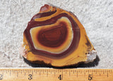 Fantasy Jasper Rock Slab 189