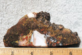 Fantasy Jasper Rock Slab 180