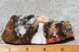 Fantasy Jasper Rock Slab 169