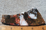 Fantasy Jasper Rock Slab 174
