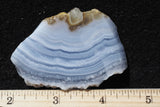 Blue Lace Agate Rock Slab 485