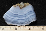 Blue Lace Agate Rock Slab 485