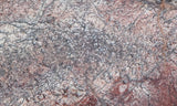 Dinosaur Bone Rock Slab 482
