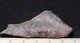 Dinosaur Bone Rock Slab 482