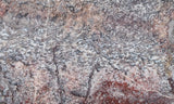 Dinosaur Bone Rock Slab 442