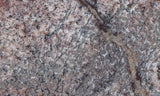 Dinosaur Bone Rock Slab 449