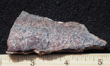 Dinosaur Bone Rock Slab 440