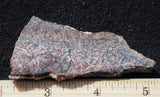 Dinosaur Bone Rock Slab 440
