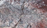 Dinosaur Bone Rock Slab 433