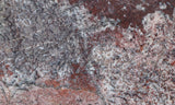 Dinosaur Bone Rock Slab 493