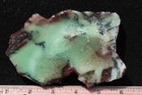 Chrysoprase Rock Slab 25