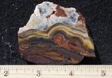 Mexican Crazy Lace Agate Rock Slab 499