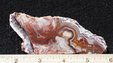 Mexican Crazy Lace Agate Rock Slab 488