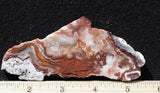 Mexican Crazy Lace Agate Rock Slab 487