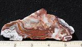 Mexican Crazy Lace Agate Rock Slab 487