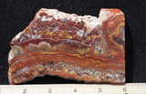 Mexican Crazy Lace Agate Rock Slab 485