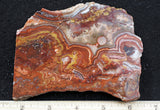 Mexican Crazy Lace Agate Rock Slab 387