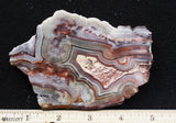 Mexican Crazy Lace Agate Rock Slab 408