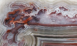 Mexican Crazy Lace Agate Rock Slab 408