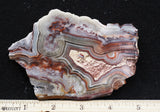 Mexican Crazy Lace Agate Rock Slab 408