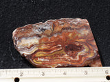 Mexican Crazy Lace Agate Rock Slab 495