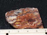 Mexican Crazy Lace Agate Rock Slab 495