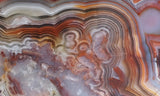 Mexican Crazy Lace Agate Rock Slab 484