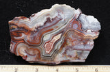 Mexican Crazy Lace Agate Rock Slab 484