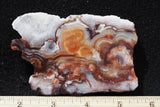 Mexican Crazy Lace Agate Rock Slab 410