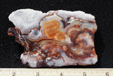 Mexican Crazy Lace Agate Rock Slab 410