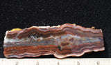 Mexican Crazy Lace Agate Rock Slab 420