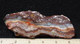 Mexican Crazy Lace Agate Rock Slab 421