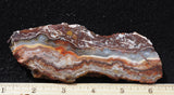 Mexican Crazy Lace Agate Rock Slab 421