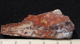 Mexican Crazy Lace Agate Rock Slab 492