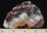 Mexican Crazy Lace Agate Rock Slab 496