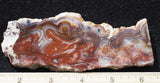 Mexican Crazy Lace Agate Rock Slab 490