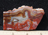 Mexican Crazy Lace Agate Rock Slab 497