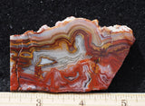 Mexican Crazy Lace Agate Rock Slab 497